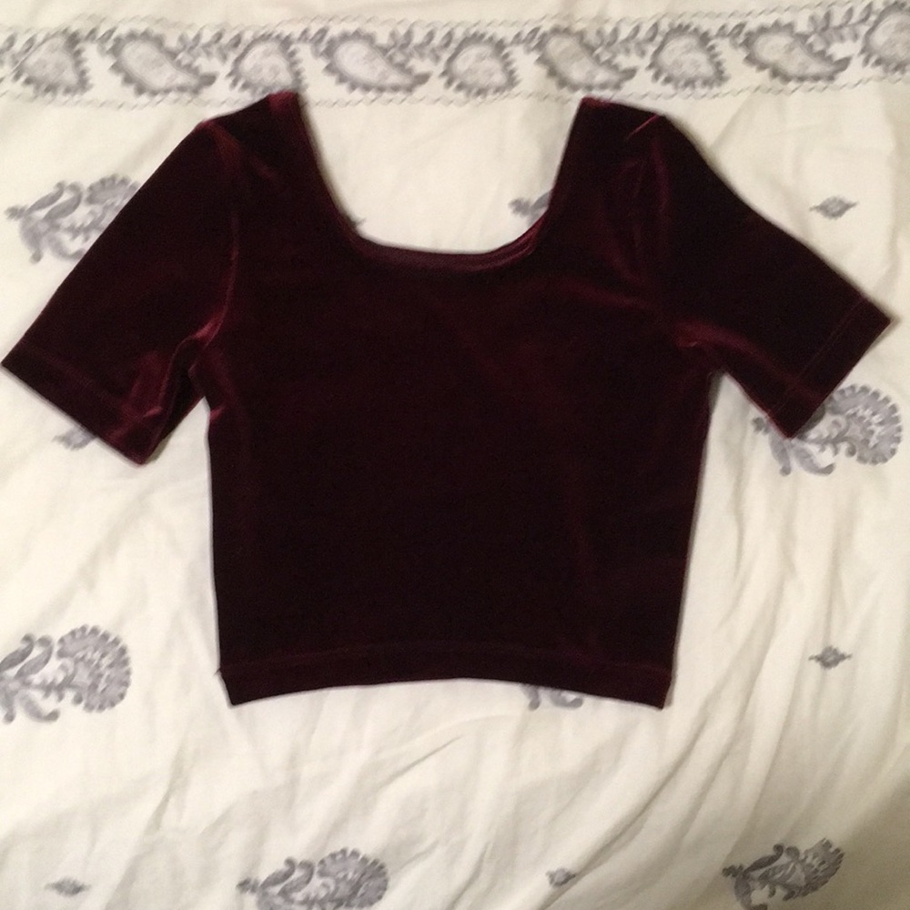 American Apparel Velvet Crop Top